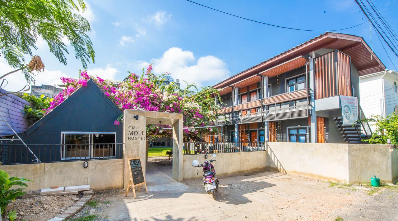 Chiangmai Moli Inn (Adults Only) Chiang Mai Dış mekan fotoğraf