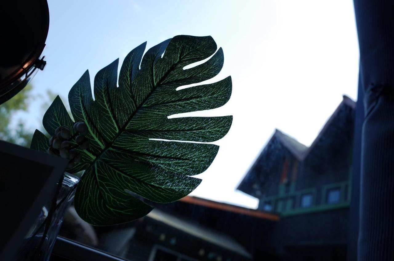 Chiangmai Moli Inn (Adults Only) Chiang Mai Dış mekan fotoğraf